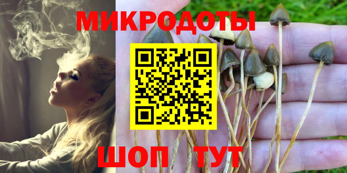 Псилоцибиновые грибы Magic Shrooms  Вход с VPN  Камышлов  Галлюциногенные грибы Psilocybe 